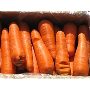 無農薬無化学肥料 にんじん (規格外品) 5kg (岩手県 おいしゅ~る店経由)