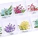 Nail Dried Flowers 3D Nail Art Decoration 48 Colors Mini Real Natural Dry Flowers for Nail Art Accessories DIY Crafts Nail Decals Stickers Manicure Charms Design Nail Tips Decor Supplies