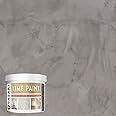 VASARI Lime Plaster & Paint | LIME PAINT | Made from Natural Lime and Powdered Marble | color: Granite #25 | size: 1 Quart