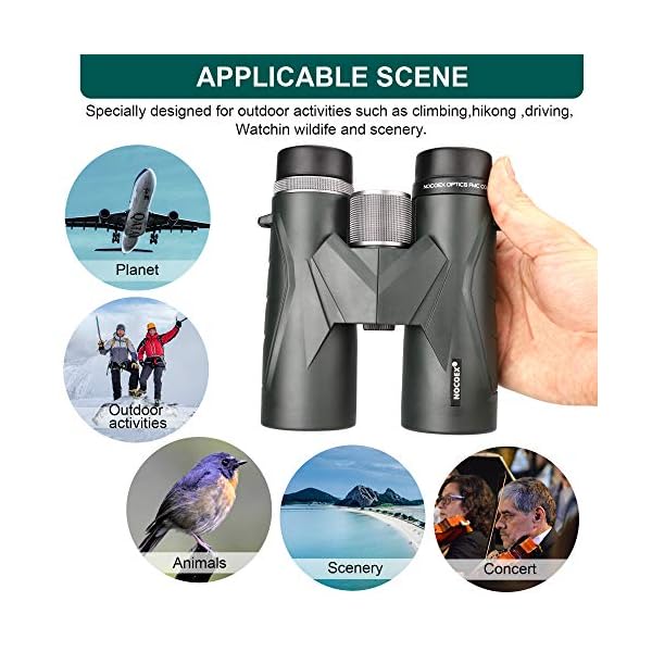 Binocoli NOCOEX 12x42 Compatti E Potenti: Leggeri, Impermeabili, Perfetti Per Birdwatching, Caccia E Concerti