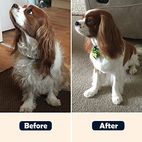 Omorc Peigne De Toilettage Professionnel Pour Chien Chat