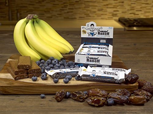 (3 Count) PALEO Ranch Protein SKINNY BAR, Blueberry Banana, 1.62 Ounce