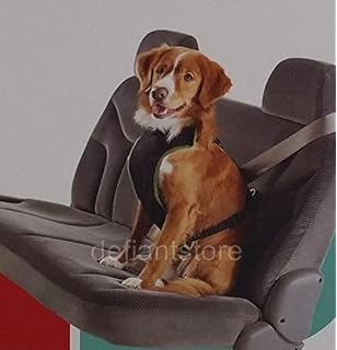 boots and barkley leash