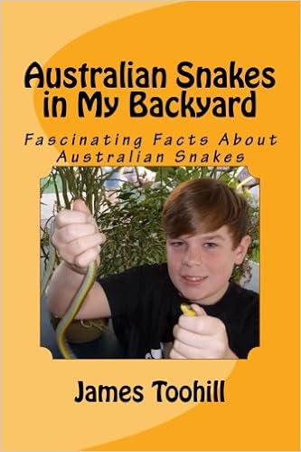 Australian Snakes In My Backyard Fascinating Fun Question And