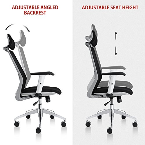Bonum Ergonomic Mesh Office Chair High-Back Swivel Computer Task Chair Adjustable Headrest with Adjustable Armrest Lumber Support Desk Executive Chair (Matte Black)