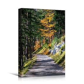 signwin Canvas Wall Art Green Forest Dramatic Forest...