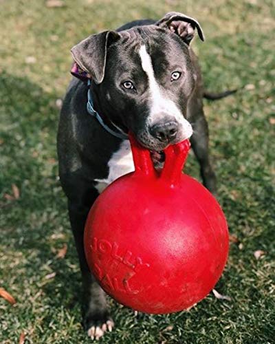 large dog ball with handle