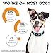 Dog Bark Collar – Rechargeable Anti Bark Collar for Small Medium Large Dogs – Effective Anti Barking Collar with Sound Vibration and 7 Sensitivity Levels – Anti-Barking Collar with LED Indicatorthumb 3