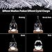 Storm Glass Weather Stations Water Drop Weather Predictor Creative Forecast Nordic style Decorative Weather Glass