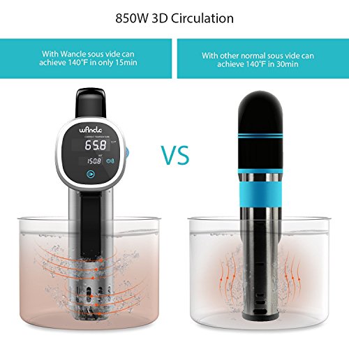 Sous Vide Cooker, Thermal Immersion Circulator, with Recipe E-Cookbook, Accurate Temperature Digital Timer, Ultra-quiet, 850 Watts, 120V, Stainless Steel/Black