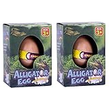 Set of 2 Surprise Growing Hatching Alligator Egg Pet Kids Toys, Assorted Colors