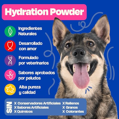 Dogelthy Hydration Powder. Electrolitos para Perro en Polvo Sabor Res. Suero Oral para Perro. Polvo Hidratante para Mezclar con Agua Ideal para Entrenamientos, Paseos o Viajes (150 gr)