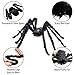 JInSEY Giant Spider + Spider Web Decoration,Halloween Decoration 59
