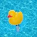 Milliard Floating Pool Thermometer Rubber Duck, Large Size with String, for Outdoor and Indoor Swimming Pools, Hot Tub, Spa, Jacuzzi and Pond, Yellow
