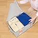 1Storage Clothing Organizer Bag, Breathable Material, 2Cells, Carry Handles, Grey 179-01A