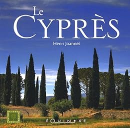 Le  cyprès