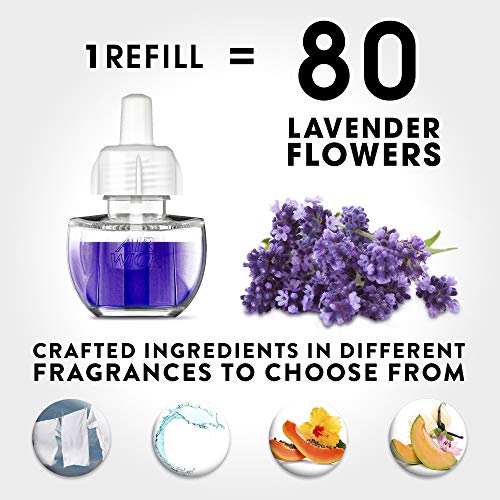 image for Air Wick plug in Scented Oil 10 Refills, Fresh Linen, Same familiar sm