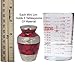 Trupoint Memorials Small Urns for Human Ashes Keepsake, Decorative Mini Cremation Urn for Adult Men and Women, Small Red with Silver Lining