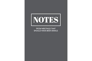 Notes From Meetings That Should Have Been Emails: Funny Notebook with College-Ruled Lines