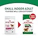 Royal Canin Size Health Nutrition Small Indoor Adult Dry Dog Food, 2.5 lb Bag