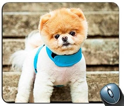 Yanteng Tapis De Souris De Jeu Visage De Race De Chien De