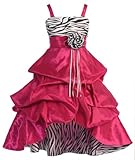 Wonder Girl Sasha Big Girls' Taffeta Zebra High Low Dress