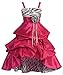 Wonder Girl Sasha Big Girls' Taffeta Zebra High Low Dress