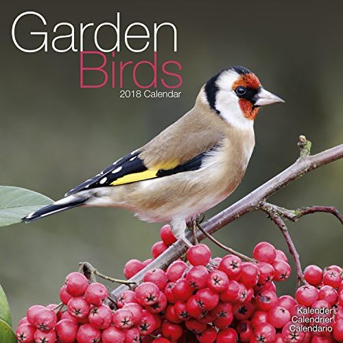 Garden Bird Calendar - Calendars 2017 - 2018 Wall Calendars - Animal Calendar - Garden Birds 16 Month Wall Calendar by Avonside Calendar – Wall Calendar, July 30, 2017