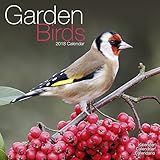 Garden Bird Calendar - Calendars 2017 - 2018 Wall Calendars - Animal Calendar - Garden Birds 16 Mont by