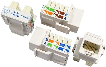 BeMatik - Caja de superficie de 4 RJ45 Cat.6 UTP: Amazon.es: Informática