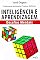 Livro Inteligência e Aprendizagem: desafios mentais