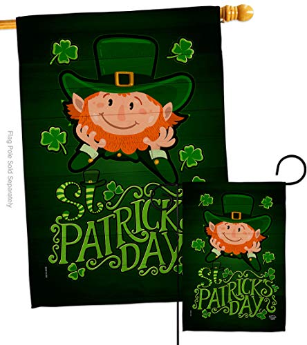 Ornament Collection Lucky Leprechaun Garden House Flag Set Spring St Patrick Sh…