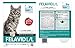 L Lysine for Cats - Tasty Chews for Immune System Support 3.74oz