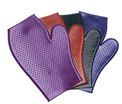 Equi Essentials-Economy Grooming Mitt| Color| Black