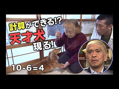 Amazon Co Jp 探偵 ナイトスクープを観る Prime Video