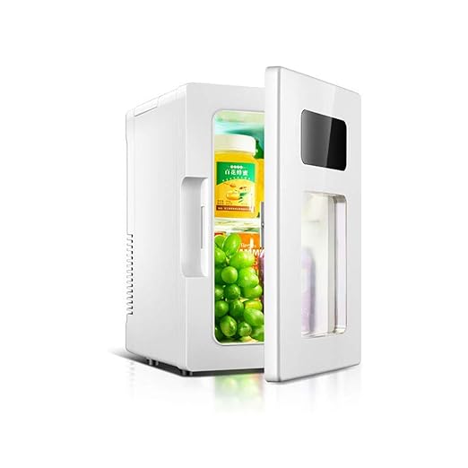 FJW 10L Refrigerador del Coche Portátil Enfriar y Calentar la Caja ...