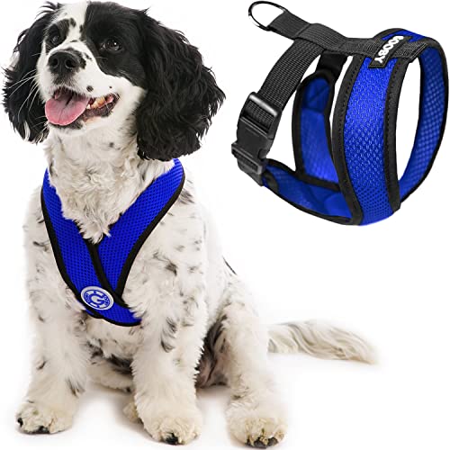 harness for small dogs that pull