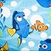 Disney/Pixar Finding Dory Adoryable 40