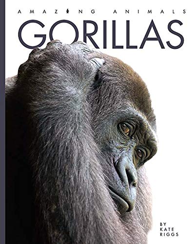 Gorillas (Amazing Animals): Riggs, Kate: 9781628329148: Amazon.com: Books