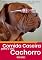 Livro Comida Caseira Para O Seu Cachorro: Aprenda Como Preparar Comida Caseira Para O Seu Melhor Amigo E Oferecer Uma Melhor Alimentação Saudável Para O Seu Cão