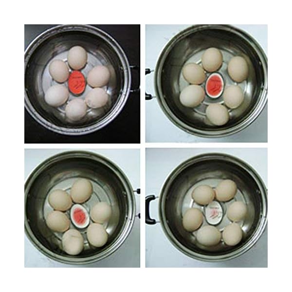 Stllion-Colour-Changing-Egg-Timer-Heat-Sensitive-Egg-Shaped-Boiled-Egg-Timer-in-Boil-Water-for-Cooking-Kitchen-Gadget-Tools-Pack-of-2 St@llion Colour Changing Egg Timer Heat Sensitive Egg Shaped Boiled Egg Timer in Boil Water for Cooking Kitchen Gadget…