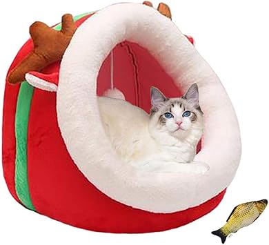 Dolt Betu Tiszta Csorgo Panier Chat Amazon Aschweitzer Com