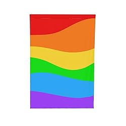 12.5x18 Inch Progress Pride Flag - Double-Sided