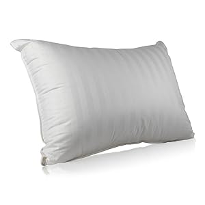 Top 5 Best Down Pillows 2018 Reviews Top Picks