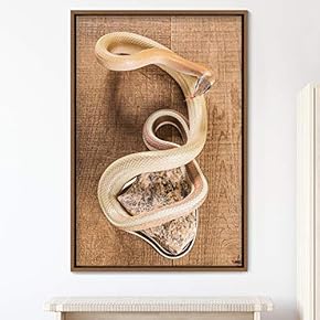 signwin Framed Canvas Wall Art Snake Contemporary Dramatic...