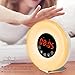 LBell Wake Up Light Alarm Clock, [2018 UPGRADED] Digital Alarm Clock with Sunrise Simulation, 7 Colors Night Light, 6 Nature Sounds, FM Radio for Bedrooms and Heavy Sleepers by