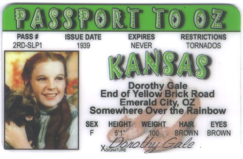 Wizard Wizard of Oz - Dorothy Fun Fake ID License