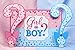 Daniu Baby Backdrop for Photography Boys or Girls Paty Background Gender Reveal Party Backdrop Baby Shower Decoration Photo Booth Supplies Studio Props Vinyl 7x5ft