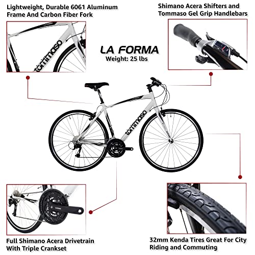 tommaso la forma review