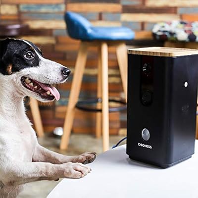 pet video monitor and treat dispenser